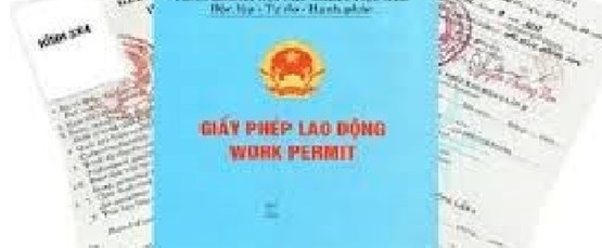 Services for issuance of Work Permits in Vietnam
