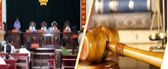 Lawyer consultation services for divorce procedures in Vietnam