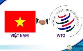 Establish an FDI company in trade, import-export sector in Vietnam