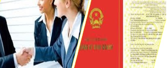Establish a foreign invested company in Vietnam
