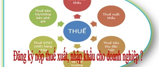 Dutiable objects and declaration of import, export duties in Vietnam	