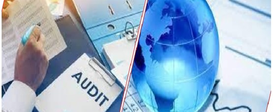 Provide cross-border audit services in Vietnam ?