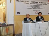 Geographical areas eligible for investment incentives in Vietnam 