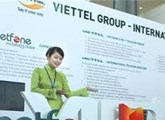 Offshore investment activities deployed by Vietnamese firms