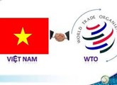 Establish an FDI company in trade, import-export sector in Vietnam
